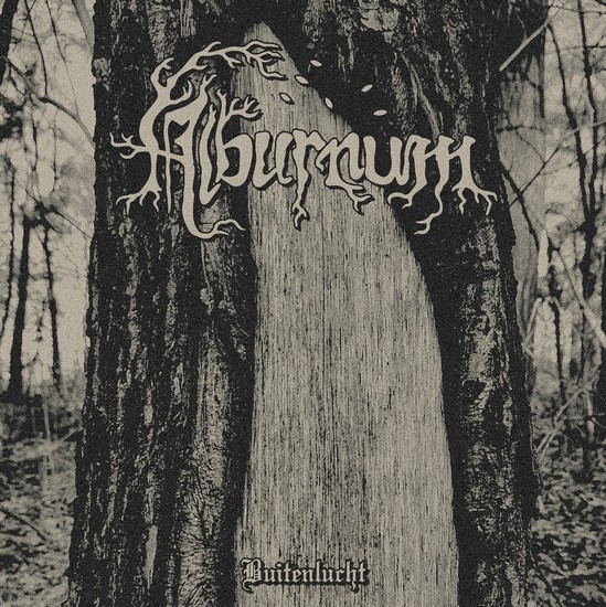 Alburnum Cover